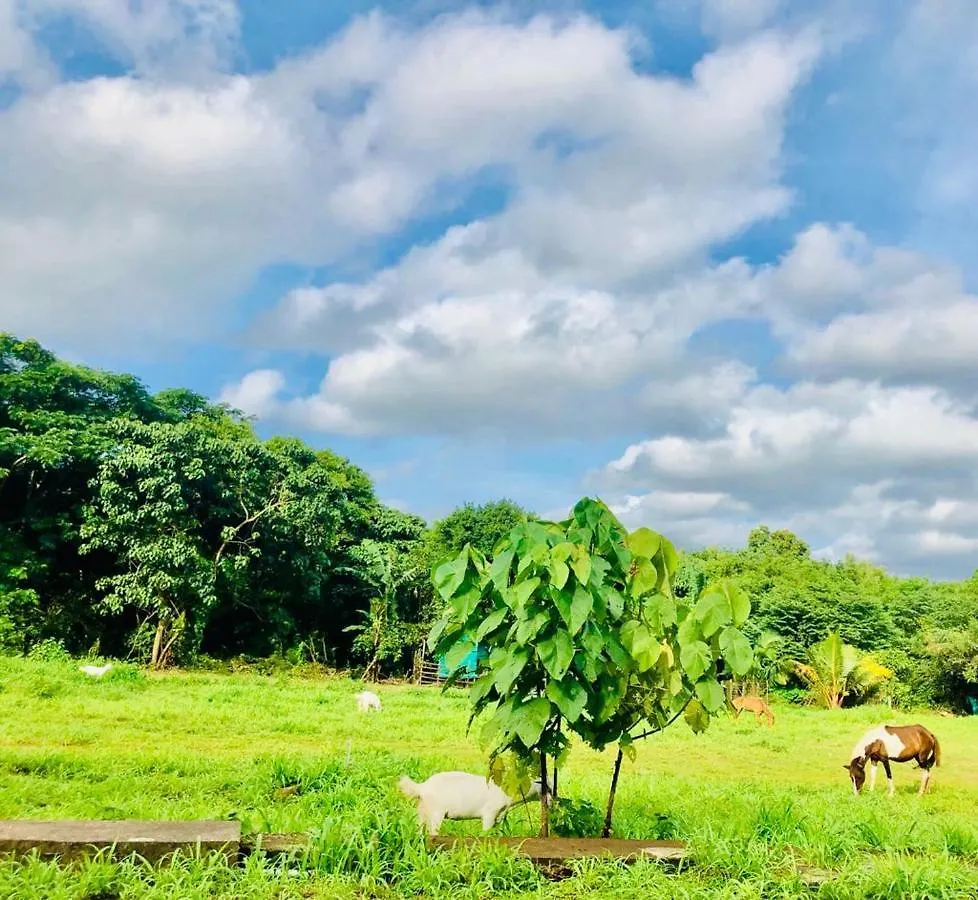 Apka Ecovillage Thrissur Κατάλυμα σε φάρμα