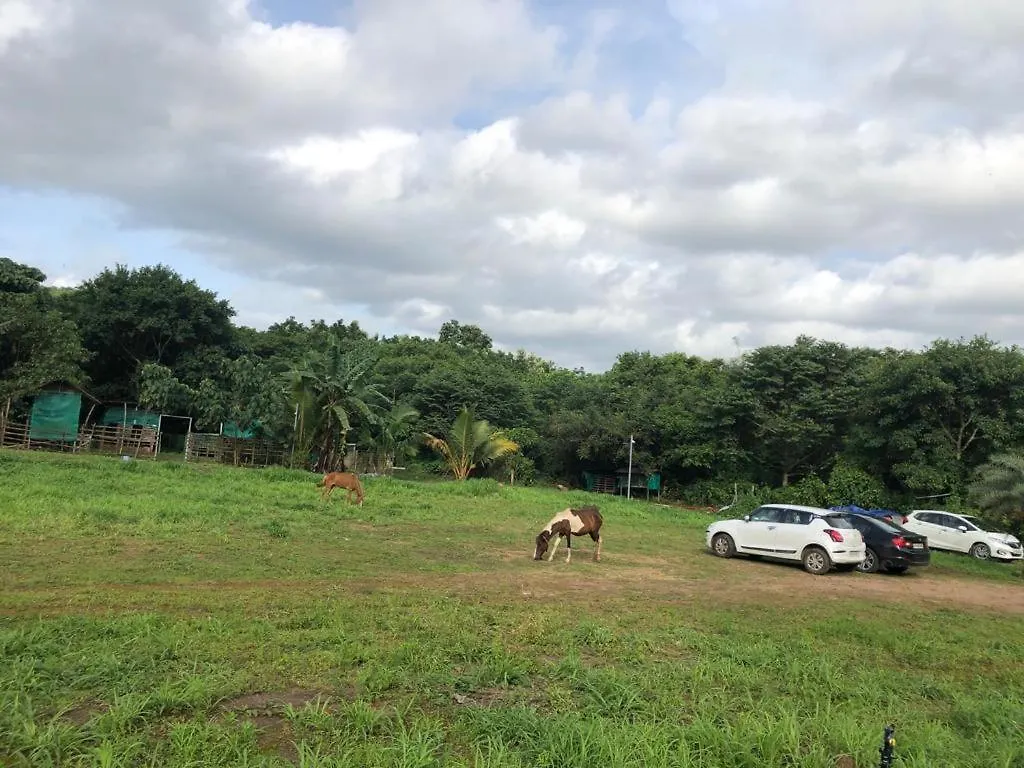 Apka Ecovillage Thrissur