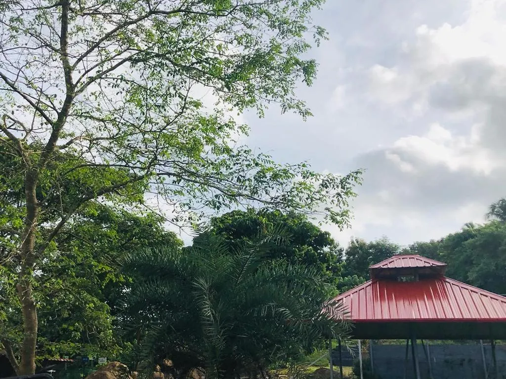 Κατάλυμα σε φάρμα Apka Ecovillage Thrissur