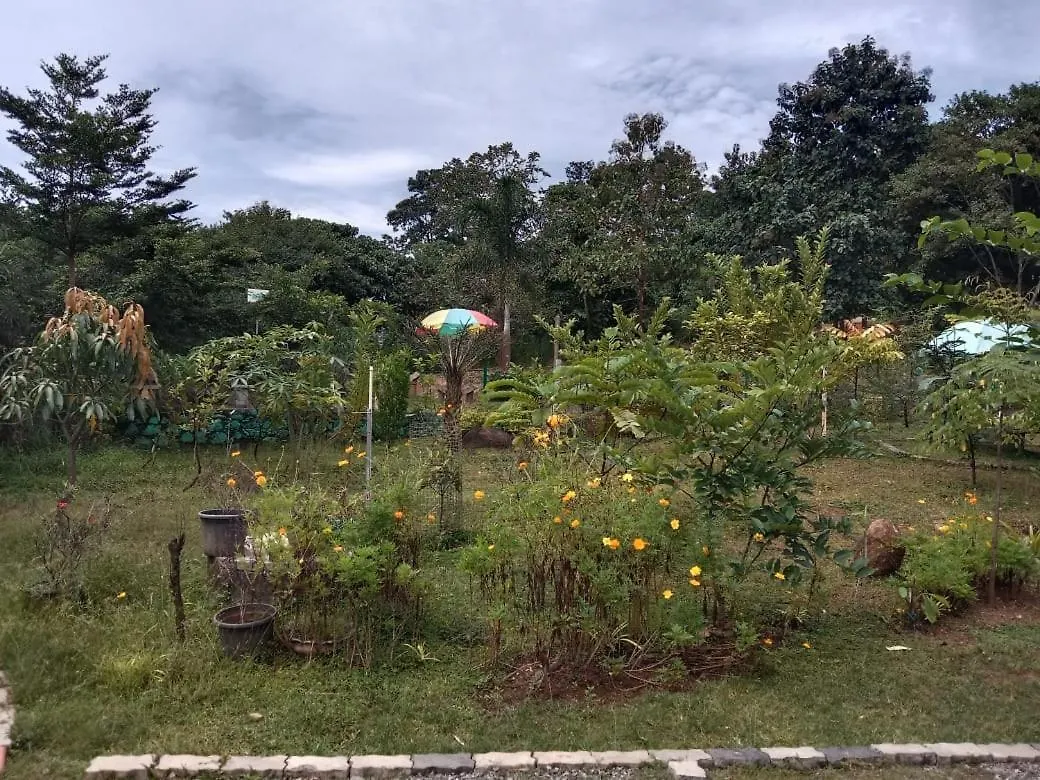 Apka Ecovillage Thrissur Ινδία