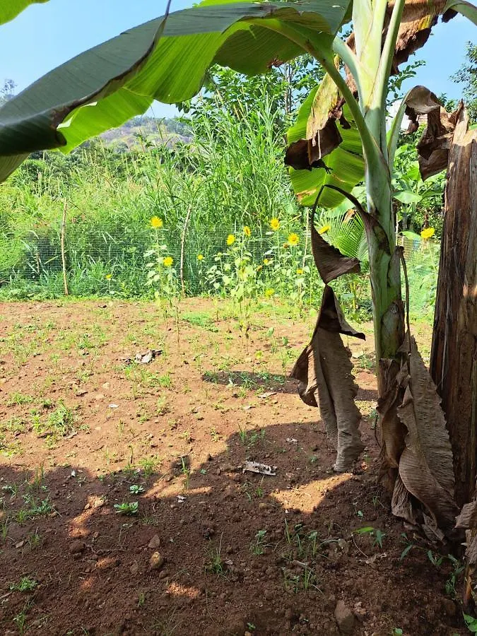 Κατάλυμα σε φάρμα Apka Ecovillage Thrissur Ινδία